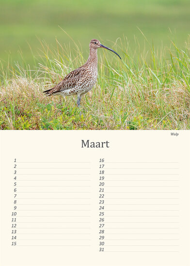 Verjaardagskalender vogels