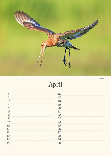 Verjaardagskalender vogels