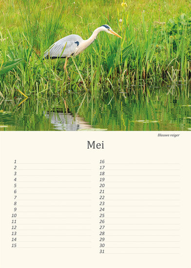 Verjaardagskalender vogels