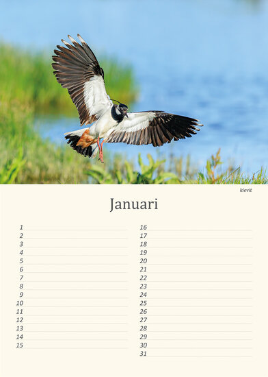 Verjaardagskalender vogels
