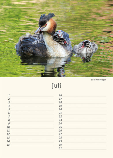 Verjaardagskalender vogels