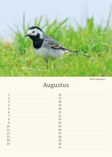 Verjaardagskalender vogels