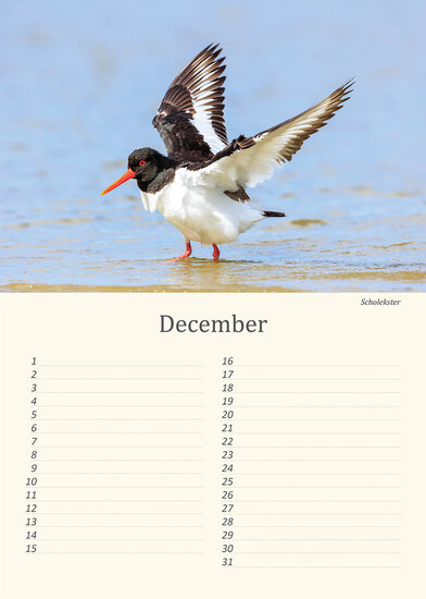 Verjaardagskalender vogels