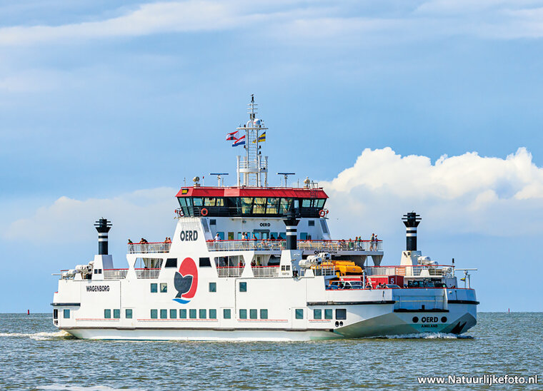 ansichtkaart veerboot Rottum