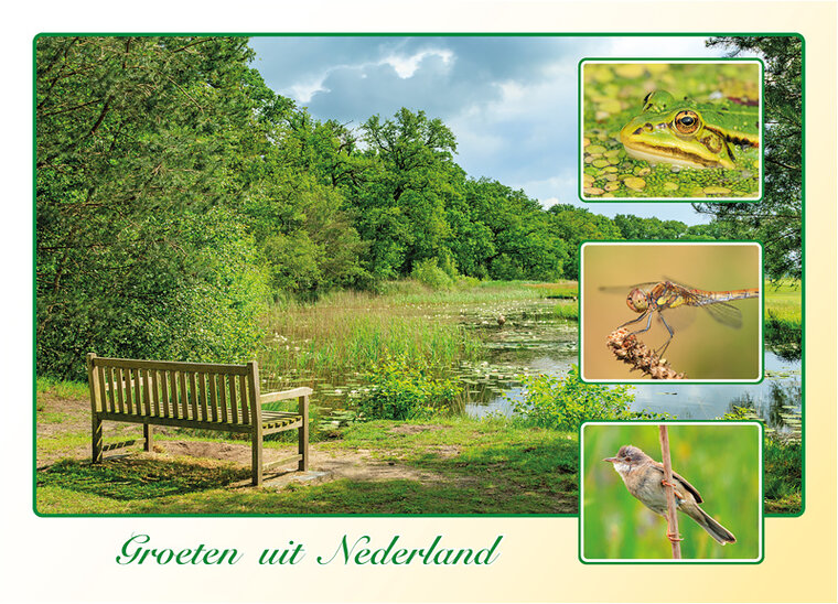 ansichtkaart groeten uit Nederland - lente