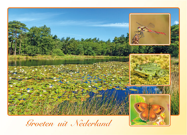 ansichtkaarten Nederland 