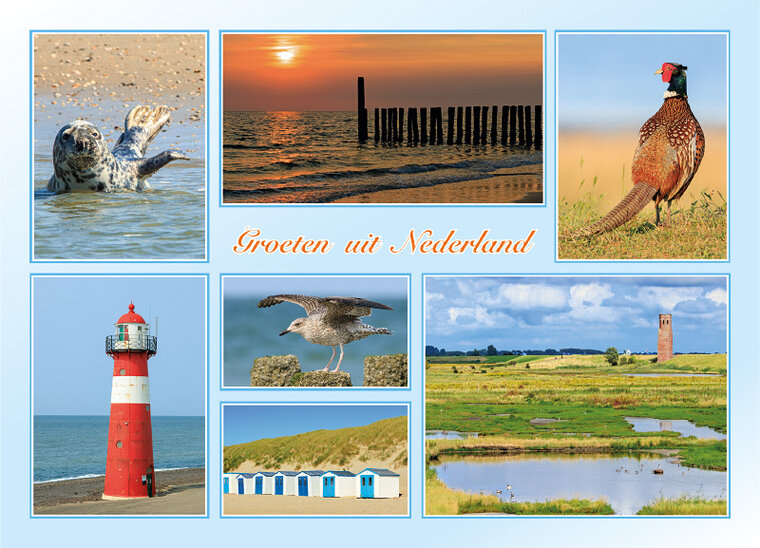ansichtkaarten Nederland 