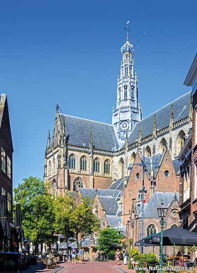 ansichtkaart Haarlem