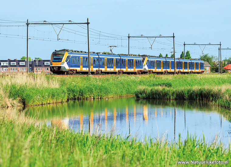ansichtkaart NS trein