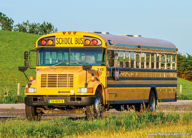 ansichtkaart schoolbus