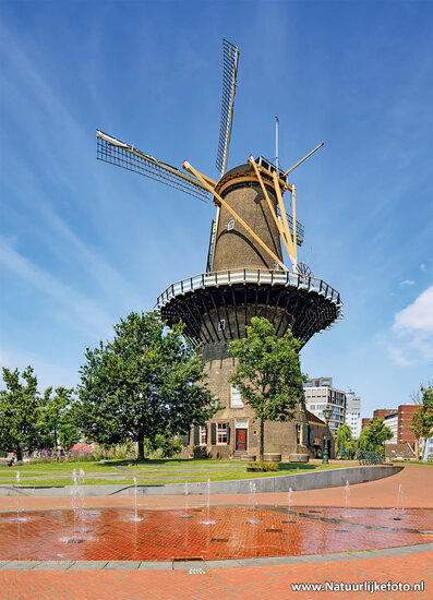 ansichtkaart Molenmuseum de Valk in Leiden