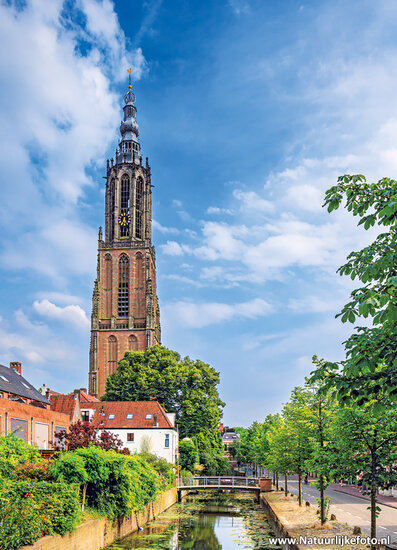 ansichtkaart Amersfoort - Onze Lieve Vrouwe toren