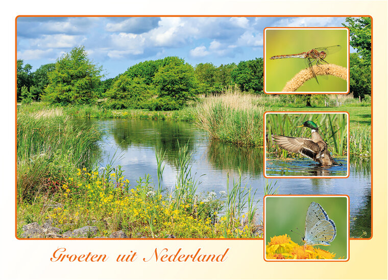 ansichtkaart groeten uit Nederland - lente