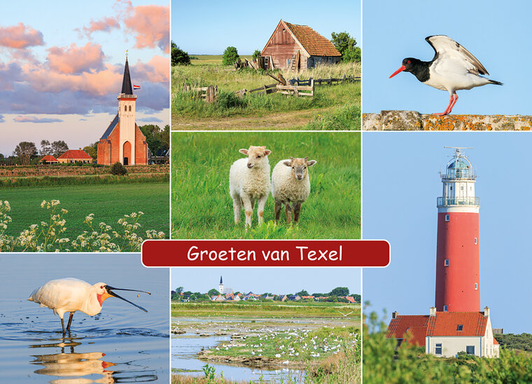 ansichtkaart groeten van Texel