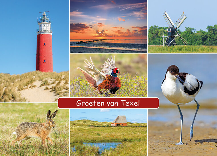 ansichtkaart groeten van Texel