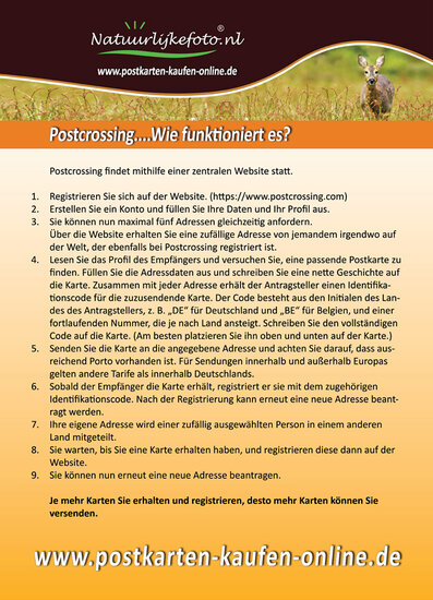 Flyer - Postcrossing hoe werkt het?