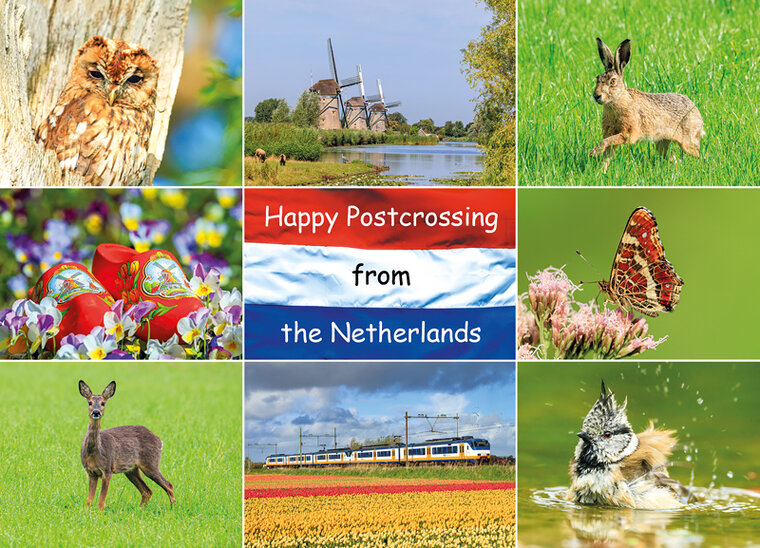 ansichtkaart Happy Postcrossing lente