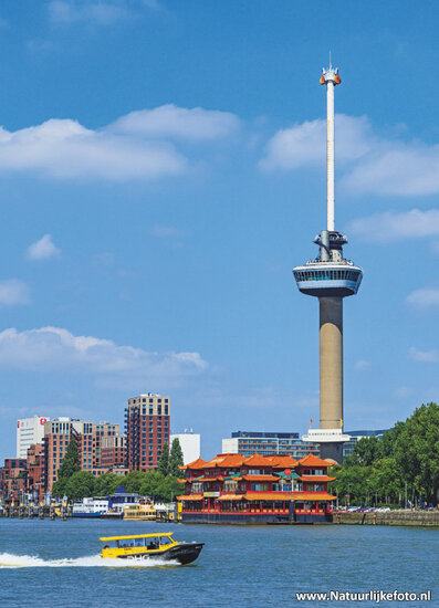 ansichtkaarten Rotterdam