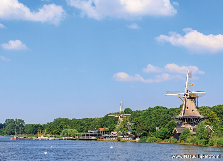 ansichtkaarten Rotterdam