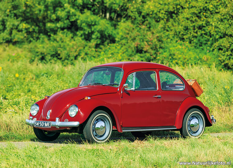 ansichtkaart Volkswagen Kever