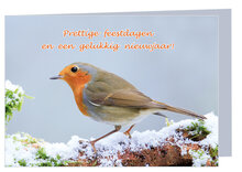 Goedkope kerstkaarten - 5 gevouwen kaarten met enveloppe (set nr. 96)