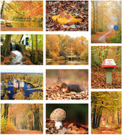 Herfst ansichtkaarten - set met 11 herfstkaarten (nr. 108)