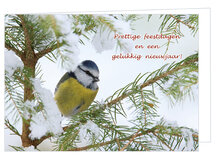 Luxe kerstkaarten 2025 | set van 30 gevouwen kaarten met envelop (set nr. 105)
