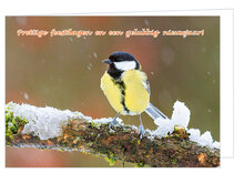 luxe kerstkaarten vogels - vink en koolmees - gevouwen kaarten met envelop (set nr. 115)