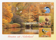 ansichtkaarten Nederland - set met 12 kaarten + flyer Postcrossing hoe werkt het (nr. 130)