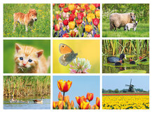 Lente kaarten - set met 9 lente ansichtkaarten (nr.103)