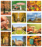 Herfst kaarten - set met 11 kaarten (nr. 84)
