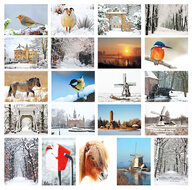 kaarten set winter - set met 21 winterse kaarten (nr. 46)