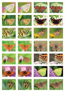 Beloningsstickers school - mix van 5 stickervellen (SVS01)
