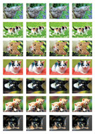 Beloningsstickers school - mix van 5 stickervellen (SVS01)