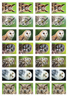 Beloningsstickers school - mix van 5 stickervellen (SVS01)
