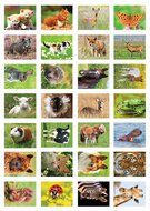 Beloningsstickers school - mix van 5 stickervellen (SVS01)
