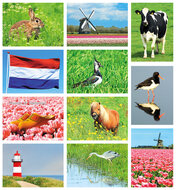 ansichtkaarten set - 11 kaarten in een set (nr. 39)
