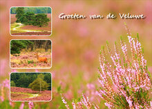 Veluwe ansichtkaarten - set met 12 kaarten (nr. 15)