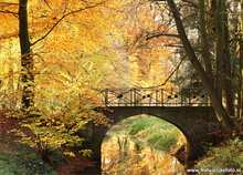 ansichtkaarten herfst - set met 15 herfst kaarten (nr. 20)