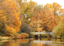ansichtkaarten herfst - set met 15 herfst kaarten (nr. 20)