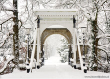 kaarten set winter - set met 21 winterse kaarten (nr. 46)