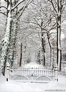 kaarten set winter - set met 21 winterse kaarten (nr. 46)