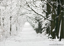 winter ansichtkaarten - set met 15 winterse kaarten (nr. 45)