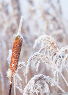 ansichtkaarten winter - set van 11 kaarten (nr.117)