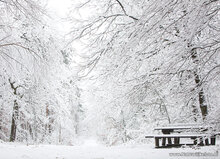 ansichtkaarten winter - set van 11 kaarten (nr.117)