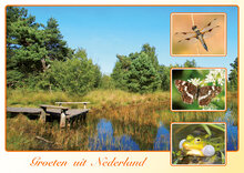 ansichtkaarten Nederland - set met 9 kaarten + flyer Postcrossing hoe werkt het (nr. 109)