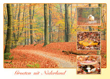 ansichtkaarten Nederland - set met 9 kaarten + flyer Postcrossing hoe werkt het (nr. 109)
