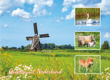 ansichtkaarten Nederland - set met 9 kaarten + flyer Postcrossing hoe werkt het (nr. 109)