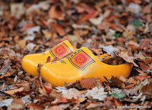 Herfst ansichtkaarten - set met 11 herfstkaarten (nr. 108)