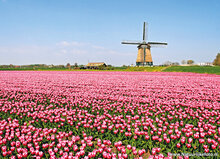 molen ansichtkaarten - set met 12 molenkaarten (nr. 64)